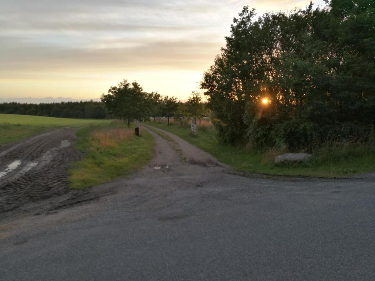 Haervejsly - Perfekt Familiebase Til Oplevelse Af Sydjylland Villa Give Dış mekan fotoğraf