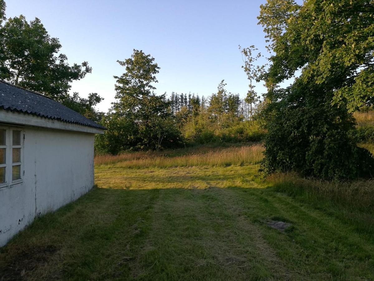 Haervejsly - Perfekt Familiebase Til Oplevelse Af Sydjylland Villa Give Dış mekan fotoğraf